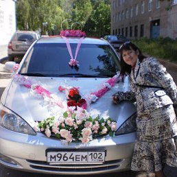 ���� ��������, �����������, 53 ���� - ��������� 11 ���� 2013