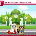  , , 34  -  15  2010   PetLove