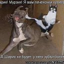 ���� Ivan, ������, 50 ��� - ��������� 11 �������� 2012 � ������ �������
