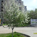 ���� Serg, ������������, 60 ��� - ��������� 14 ��� 2012 � ������ ��������,������