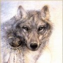 ���� Bastet6, �����-��������� - ��������� 10 ������� 2009 � ������ ���� ����������