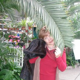 �������, �������, 71 ���