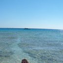 ���� ����, ������, 46 ��� - ��������� 14 ������ 2012 � ������ ���� ����������