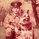 ���� ������, ��������� - ��������� 17 ������ 2013