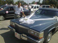 ���� ������, ��������, 38 ��� - ��������� 22 ���� 2013
