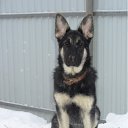 ���� ������, ���, 57 ��� - ��������� 11 ������ 2012 � ������ �� � �����