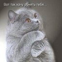 ���� ���, ���������� �����, 45 ��� - ��������� 29 ���� 2013 � ������ ���� ����������