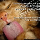 ���� �����, �����������, 41 ��� - ��������� 12 ������� 2010 � ������ �������� ���������!�