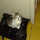 ���� �����, ������, 59 ��� - ��������� 7 ���� 2013 � ������ ����� ��� ������������