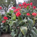 ���� ��������, ������, 44 ���� - ��������� 30 ������� 2012 � ������ ���� ����������