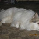 ���� Serega, �����-���������, 34 ���� - ��������� 24 ����� 2011 � ������ ������ � ��������