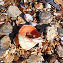 ���� �������, �����, 57 ��� - ��������� 24 ���� 2010 � ������ �����... ����... �����...�