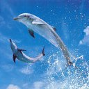 ���� ��� ����, ������, 24 ���� - ��������� 24 ����� 2010 � ������ ��������� 2�