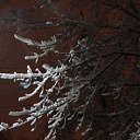 ���� ������, ������, 47 ��� - ��������� 4 ������� 2013 � ������ �������� ������