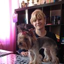 ���� �����, �����-���������, 60 ��� - ��������� 15 ���� 2013