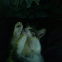 ���� ���������, �����������, 35 ��� - ��������� 16 ������� 2010 � ������ ������