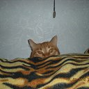 ���� ������� ~������~, ���������, 39 ��� - ��������� 5 ������ 2011