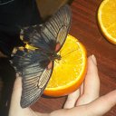 ���� ������, ��������, 50 ��� - ��������� 18 ����� 2012 � ������ �RoadKing�