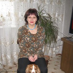 �������, ��������, 65 ���