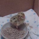 ���� �������, ������ - ��������� 30 ���� 2011 � ������ ���������