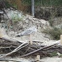 ���� Jola, ���! - ��������� 6 �������� 2012 � ������ �������