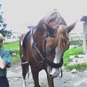 ���� ����, ���� - ��������� 26 ������� 2010