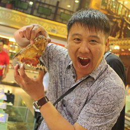 �����, ������, 50 ���