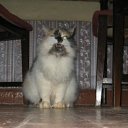 ���� ���, ������������ - ��������� 13 ������� 2010 � ������ ������