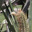 ���� � ������� �� ������� ������ ������� ����, ������� - ��������� 23 ������ 2011 � ������ �������-2�