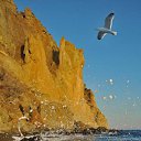 ���� �������, ���� - ��������� 12 ������ 2009 � ������ ����� "��������"�