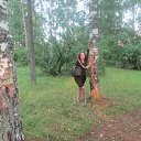   ( ), , 42  -  29  2013    