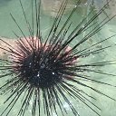 ���� ������, ��������, 41 ��� - ��������� 30 ������� 2010 � ������ �������