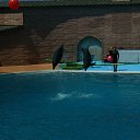  , , 47  -  7  2010   - 2010