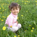 ���� �������, ���������, 42 ���� - ��������� 14 ������� 2011 � ������ ���� ����������