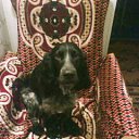 ���� �����, ������, 38 ��� - ��������� 25 ������� 2012