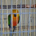 ���� ������, ������, 48 ��� - ��������� 22 ������ 2009