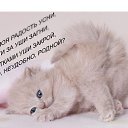 ���� ������, �������� - ��������� 1 ���� 2013 � ������ ���� ����������