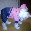 ���� ������ �����, �����, 37 ��� - ��������� 2 ������� 2012 � ������ ���� ����������