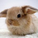 ���� ����� - ���������� ��������!!!, �����������, 56 ��� - ��������� 13 ������� 2009 � ������ ��������� (�����)�