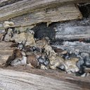 ���� ���������, ���������� - ��������� 23 ������� 2010 � ������ �������������Ż