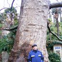 ���� �����, ����, 65 ��� - ��������� 2 ���� 2013 � ������ ���� ����������