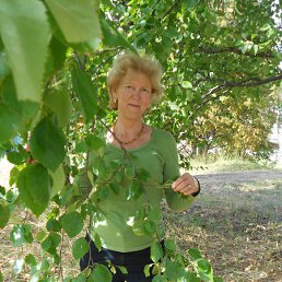 ���� �������, �����������, 67 ��� - ��������� 16 ���� 2013