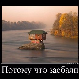 ���� �����, ���������, 53 ���� - ��������� 11 ������ 2013