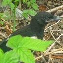 ���� �����, ������� - ��������� 3 ���� 2012 � ������ ���� ����������