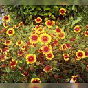 ���� ����, �������, 29 ��� - ��������� 29 ���� 2012 � ������ �������