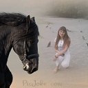 ���� ��������, ������-��-����, 35 ��� - ��������� 7 ������� 2010 � ������ ���� ����������