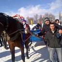 ���� ������, ��������, 41 ��� - ��������� 8 ����� 2011 � ������ ���� ����������