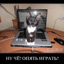���� �����, ����������, 60 ��� - ��������� 6 ������� 2011 � ������ �������