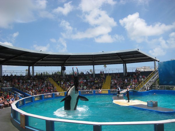 : Miami Seaquarium:  !
June /17/ 2013 - Alinushka Semukha, 76 , 