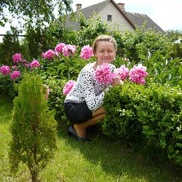 ���� �������, �����, 42 ���� - ��������� 25 ������� 2012